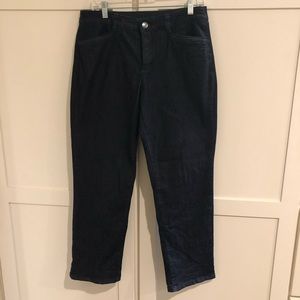 🏖 Christopher & Banks Petite Denim Pant 10P